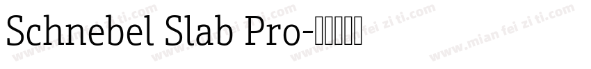 Schnebel Slab Pro字体转换